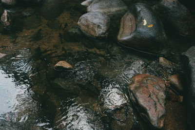 High angle view of stones in lake