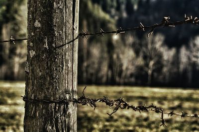 Close-up of barbed wire fence