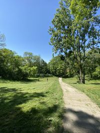 Trees on field against clear sky