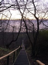 View of footbridge in forest