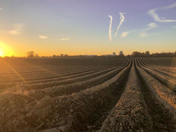 Scenic view of agricultural field against sky during sunset