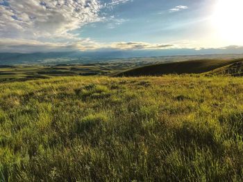 Scenic view of field against sky