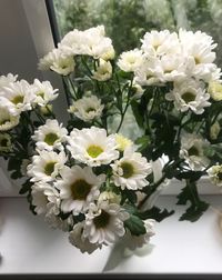 Close-up of white flowering plant