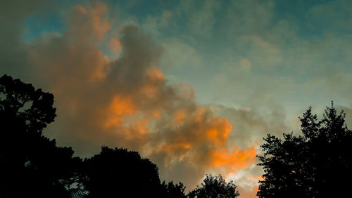 Low angle view of silhouette trees against sky during sunset