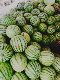 Watermelons for sale at market