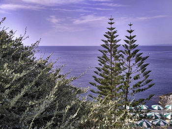 Scenic view of sea against sky during winter