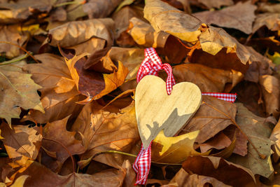 Close-up of autumn leaves on heart shape