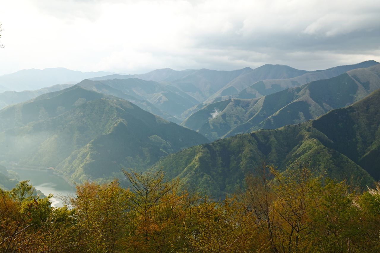 mountain, scenics - nature, beauty in nature, mountain range, tranquil scene, cloud - sky, tranquility, non-urban scene, sky, environment, landscape, plant, nature, no people, tree, idyllic, day, remote, green color, outdoors, mountain peak, range, mountain ridge