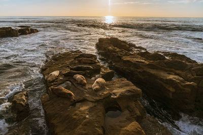 Scenic view of sea against sky during sunset