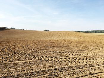 Scenic view of field against sky