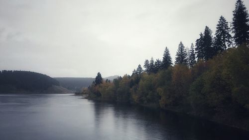 Scenic view of river amidst trees against sky