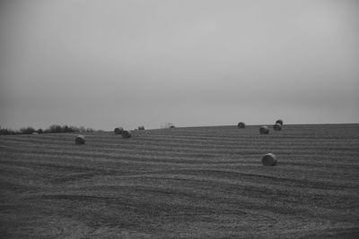 Hay bales on field against sky