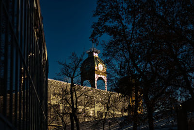 Low angle view of trees and building against sky at night