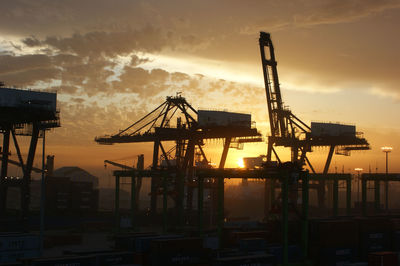 Cranes at sunset