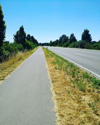 Empty road amidst plants against clear sky