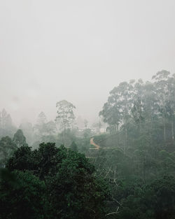 Trees on landscape against sky