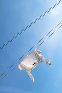 Low angle view of bird flying against clear sky