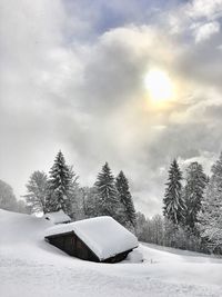 Snow covered land and trees against sky