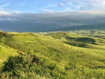 Scenic view of landscape against sky