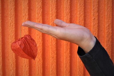 Close-up of hand holding orange leaf