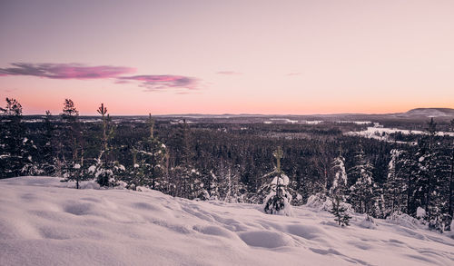 Scenic view of snow covered land against sky during sunset