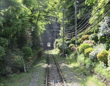 Climbing mount takao by cable car