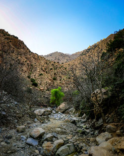 Scenic view of stream against clear sky