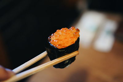 Close-up of sushi