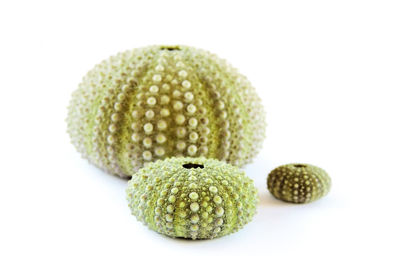 Close-up of fruits against white background