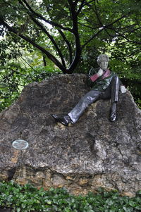Man climbing on rock in forest