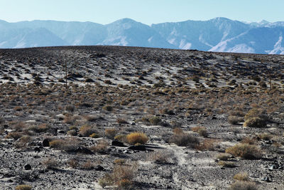 Scenic view of desert against sky
