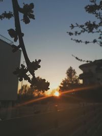 Low angle view of silhouette trees against sky during sunset