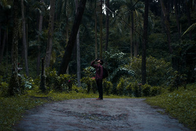 Man standing on footpath amidst trees in forest