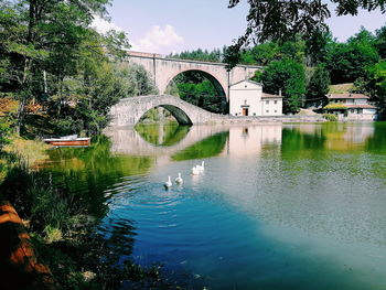 Arch bridge over a lake