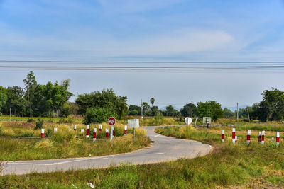 Group of people on road along trees