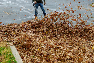 Low section of man using leaf blower during autumn