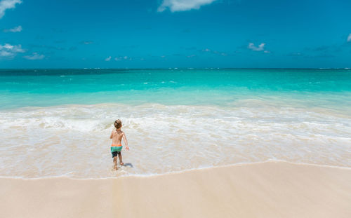 Rear view of man standing on beach against sky