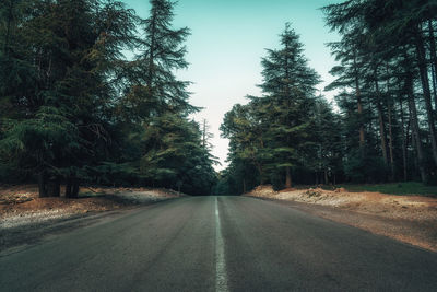 Empty road amidst trees against sky