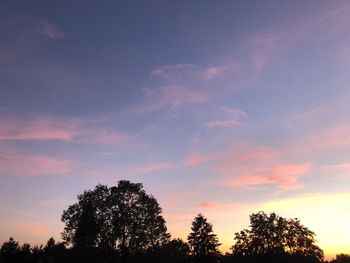 Low angle view of silhouette trees against sky during sunset