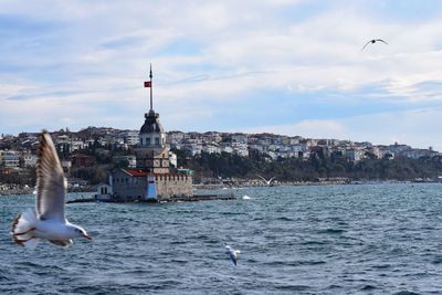 Seagull flying over sea against sky