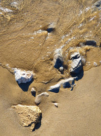 High angle view of starfish on beach