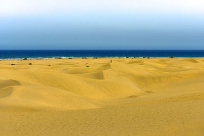 Scenic view of beach against clear sky