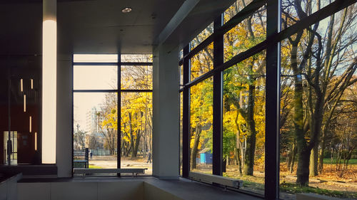 Trees seen through glass window of building
