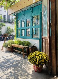 Potted plants outside house