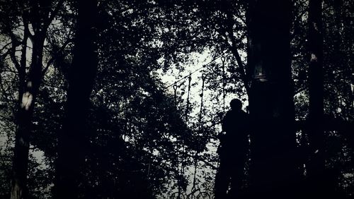 Low angle view of silhouette trees in forest