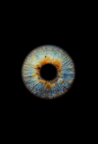 Close-up of human eye against black background