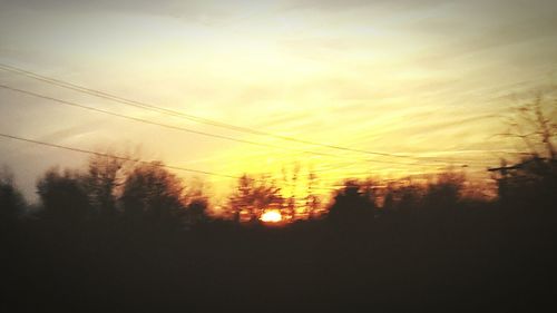 Silhouette of trees at sunset