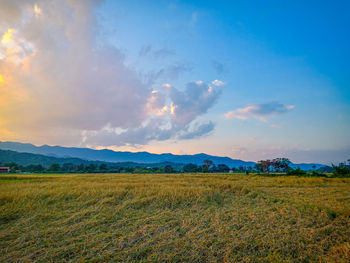 Scenic view of field against sky during sunset