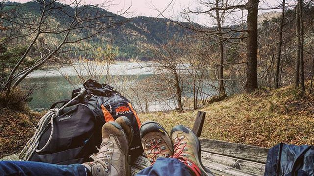 tree, shoe, lifestyles, leisure activity, low section, men, mountain, person, landscape, forest, personal perspective, bare tree, tranquility, nature, sitting, tranquil scene, non-urban scene, travel