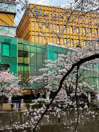 urban area